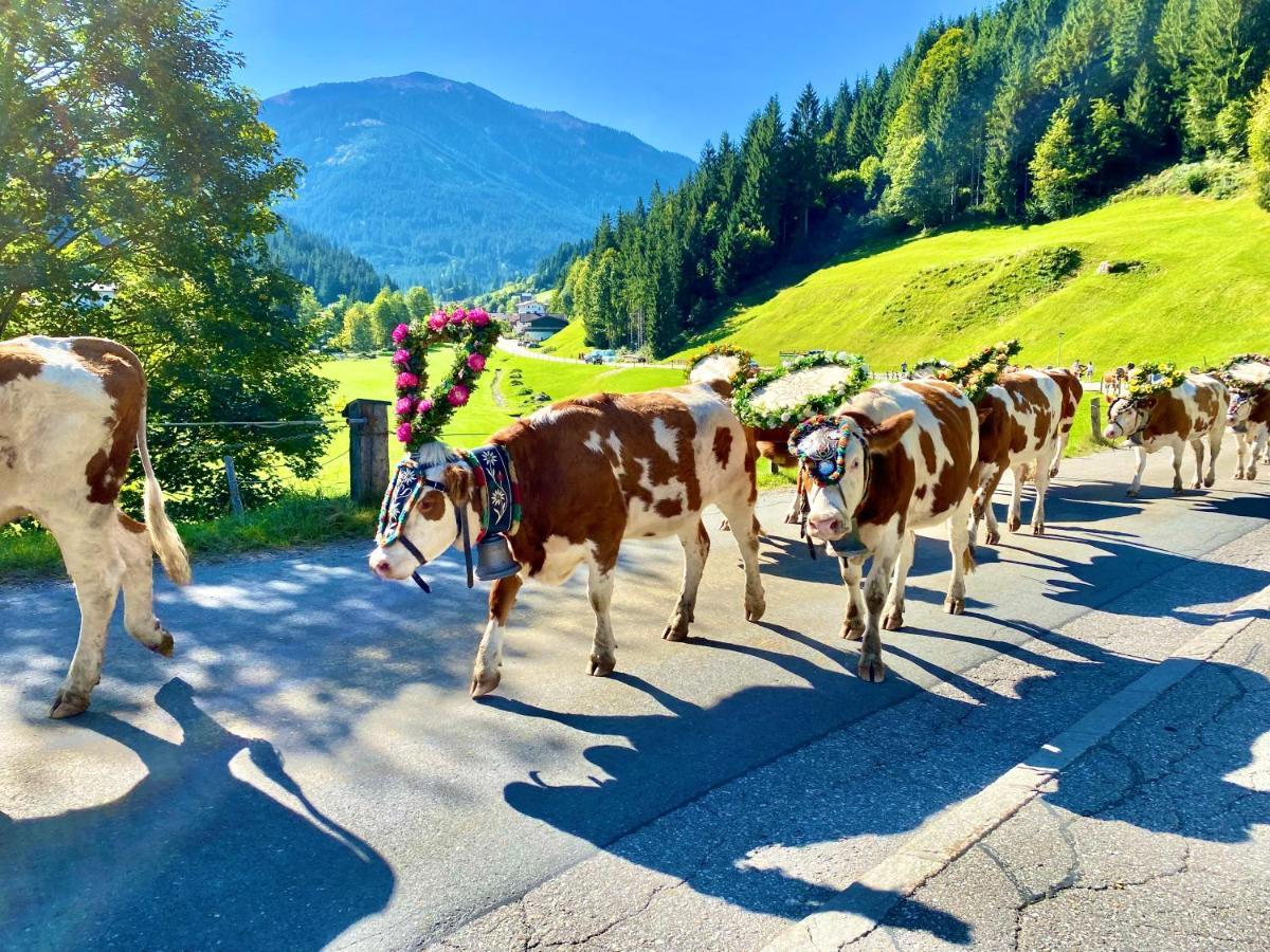 Haus Chorblick Daire Westendorf Dış mekan fotoğraf
