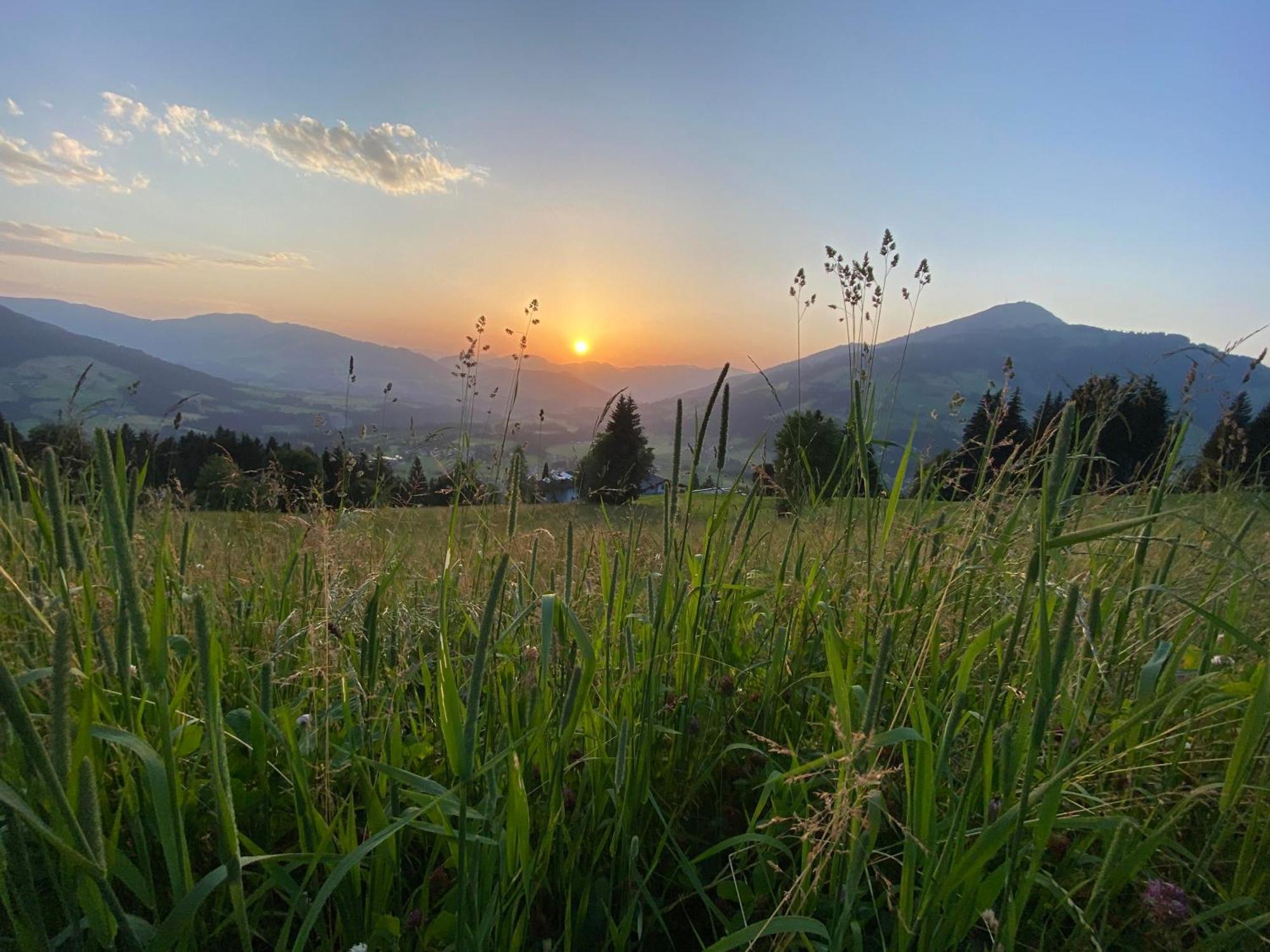 Haus Chorblick Daire Westendorf Dış mekan fotoğraf